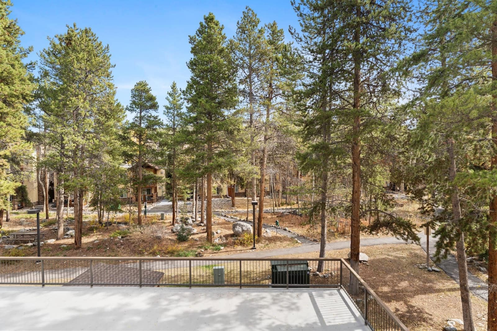 View from the deck over pines and the walking path below